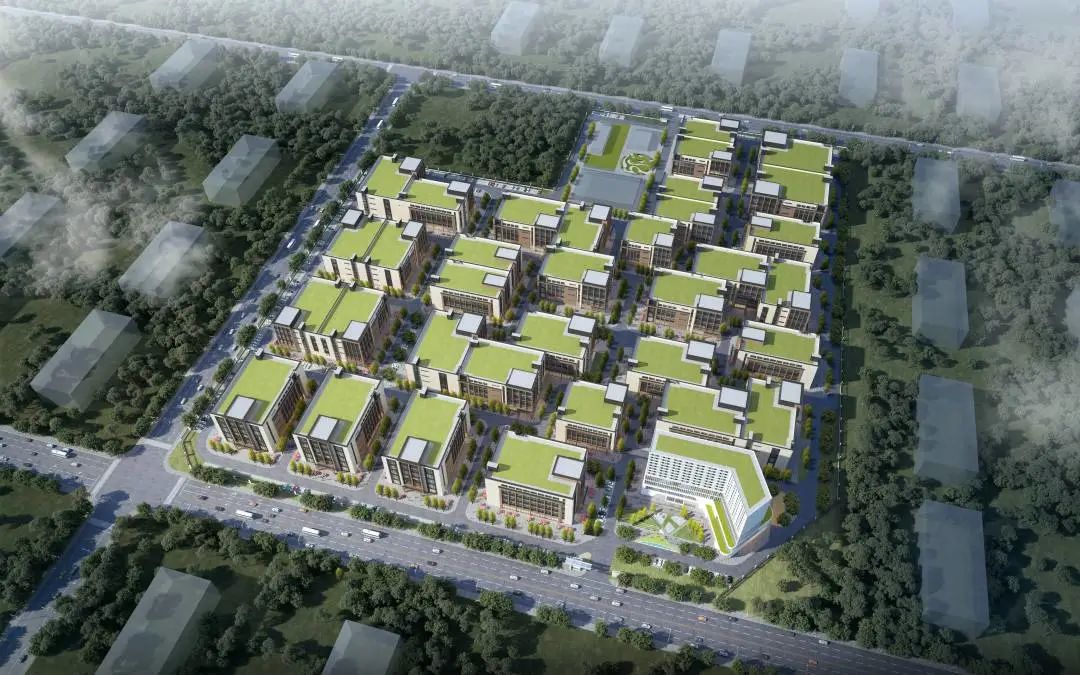 1699934816921523.jpg 11.jpg