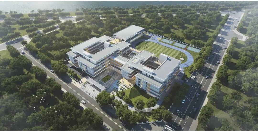 1703129267738685.jpg 20.jpg