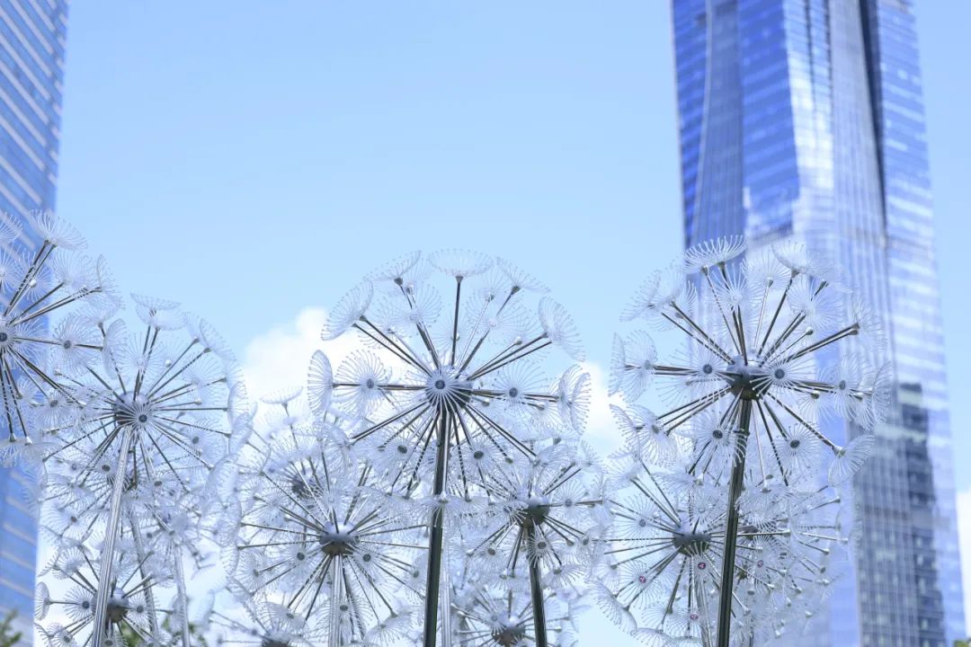 1728896672101905.jpg 14.jpg